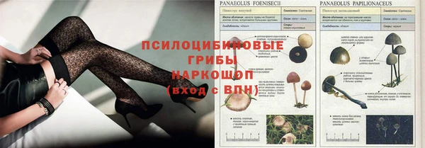 a pvp Волоколамск